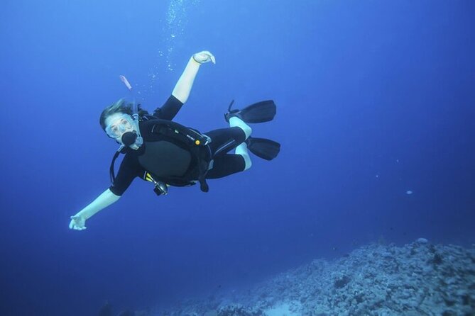 Intro Scuba Diving: 2 Dive Stops With Lunch & transfer - Hurghada - What the two underwater stops offer