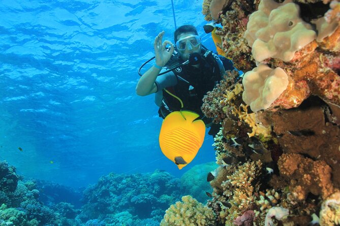 Intro Scuba Diving: 2 Dive Stops With Lunch & transfer - Hurghada - A boat day that includes time to slow down