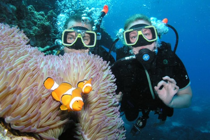 Intro Scuba Diving: 2 Dive Stops With Lunch & transfer - Hurghada - Practical tips for a smoother day