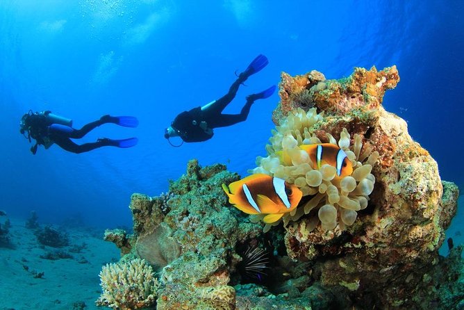 Intro Scuba Diving 2 Stops Trip with Transfers & Lunch - Hurghada - Key points to know before booking