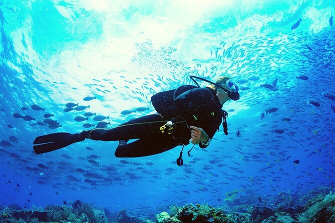 Intro Scuba Diving 2 Stops Trip with Transfers & Lunch - Hurghada - Equipment, safety, and the most important caution