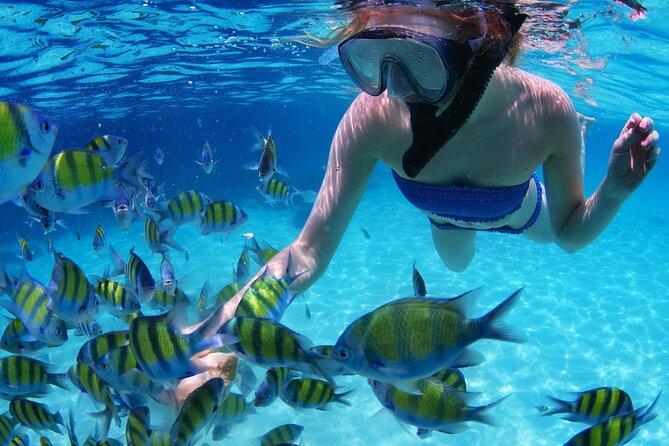 Intro Scuba Diving 2 Stops Trip with Transfers & Lunch - Hurghada - Who will enjoy this Hurghada boat day most