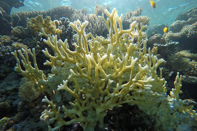 Intro Scuba Diving - Hurghada’s easy entry into scuba