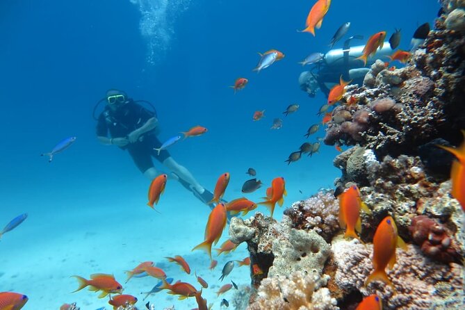 Intro Scuba Diving - The first reef session at about 6 meters