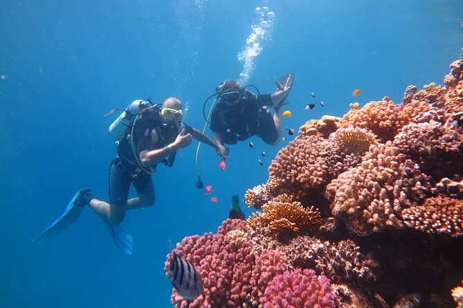 Intro Scuba Diving - The second reef session at about 10 meters