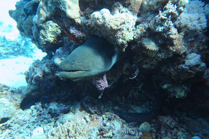 Intro Scuba Diving - Crew service and the human side of the trip