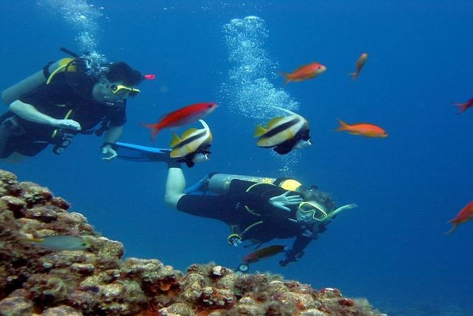 Intro Scuba Diving Beginners Full Day Boat Trip 2 Stops Diving & Lunch– Hurghada - Stop one: your first look below the Red Sea