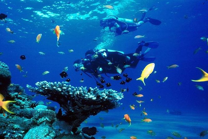 Intro Scuba Diving Beginners Full Day Boat Trip 2 Stops Diving & Lunch– Hurghada - Lunch on board and the long pause between sessions