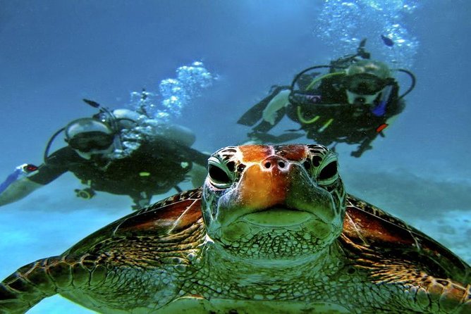 Intro Scuba Diving Beginners Full Day Boat Trip 2 Stops Diving & Lunch– Hurghada - Safety, instruction, and the crew