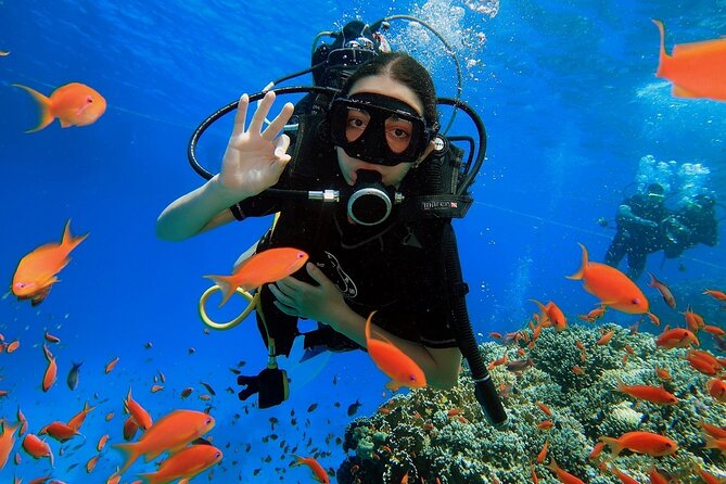 Introduction: Diving from the Reef in Sharm El Sheikh - Key points to know before you book