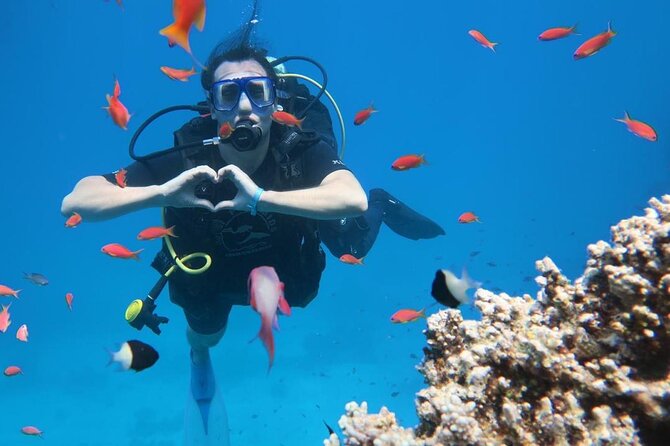 Introduction: Diving from the Reef in Sharm El Sheikh - Starting at 8:00 a.m. with hotel pickup