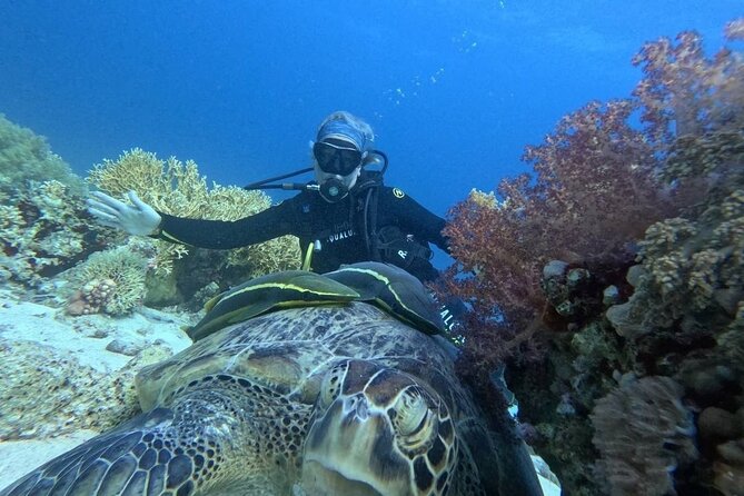 Introduction: Diving from the Reef in Sharm El Sheikh - Entering the sandy reef areas at 6 or 7 meters