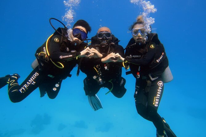 Introduction: Diving from the Reef in Sharm El Sheikh - Meeting the PADI instructor and preparing for the water