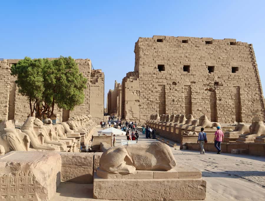 Luxor: East and/or West Banks Guided Tour with Lunch - The Valley of the Kings: Tombs Beneath the Hills