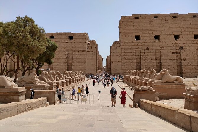 Luxor East Bank: Karnak and Luxor Temples (Private Tour) - Private transport keeps the half-day easy