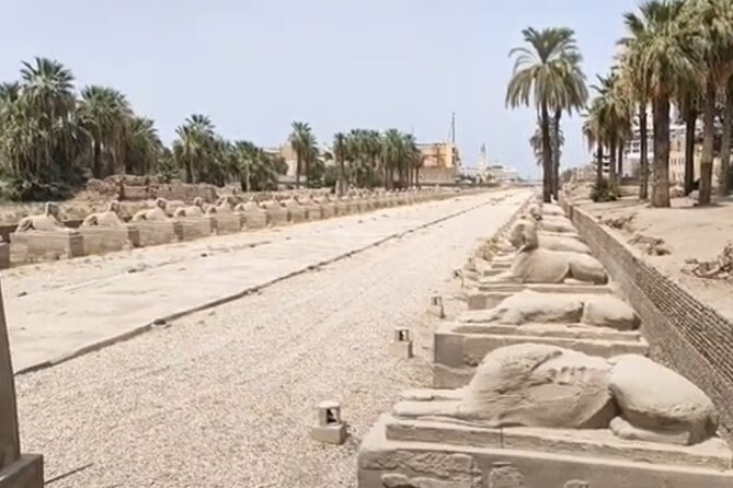 Luxor East Bank: Karnak and Luxor Temples (Private Tour) - The best schedule is early and focused