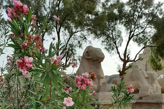 Luxor Full Day Tour - The Colossi of Memnon: a short stop with a strange story