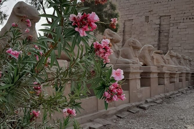 Luxor Full Day Tour - Luxor Temple and the remains of several faiths