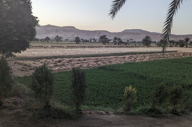 Luxor Half Day tour: Valley of the Kings, Hatshepsut and Memnon - Private transport and the value of a guide