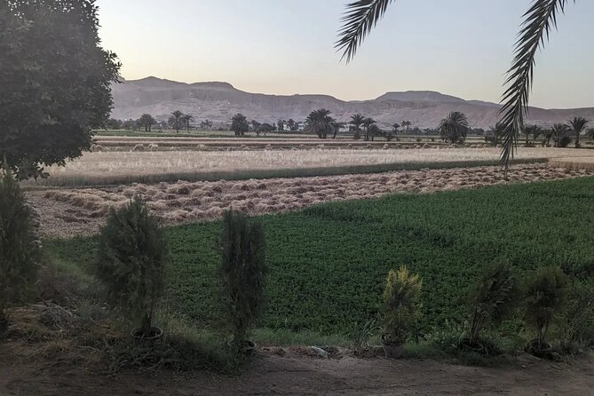 Luxor Half Day tour: Valley of the Kings, Hatshepsut and Memnon - Hatshepsut Temple beneath the cliffs