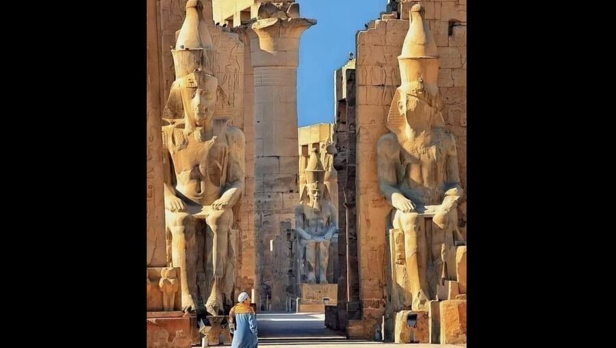 Luxor: Karnak and Luxor Temples Private Half-Day Tour - The guide makes the biggest difference