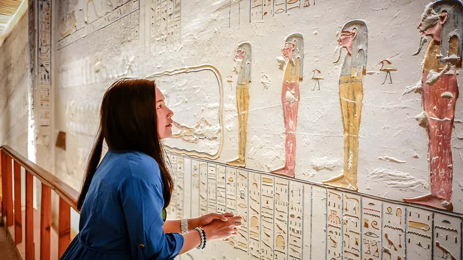 Luxor: Medinet Habu, Deir el-Medina & Valley of Queens Tour - Is $85 a fair price?