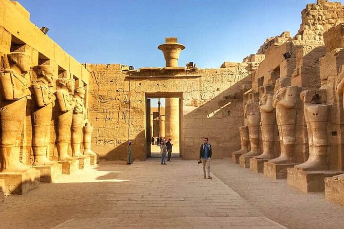 Luxor Private Day Trip from Cairo by Plane - Meeting your Luxor guide and driver