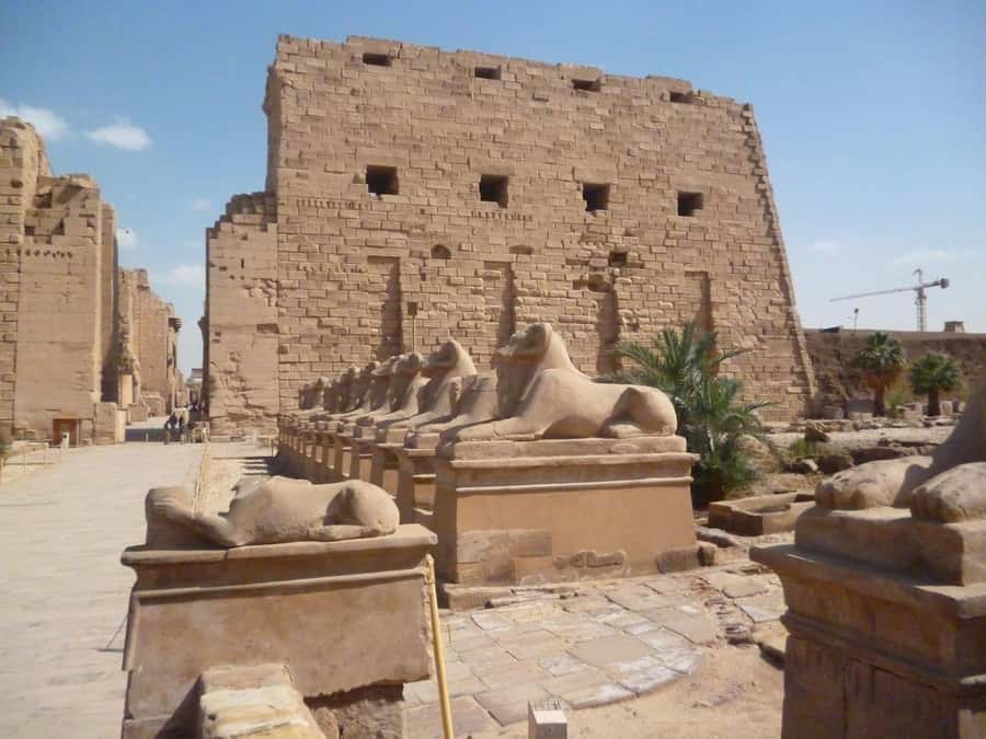 Luxor: Private East and West Banks Tour and Felucca Cruise - Karnak Temple and the Theban triad