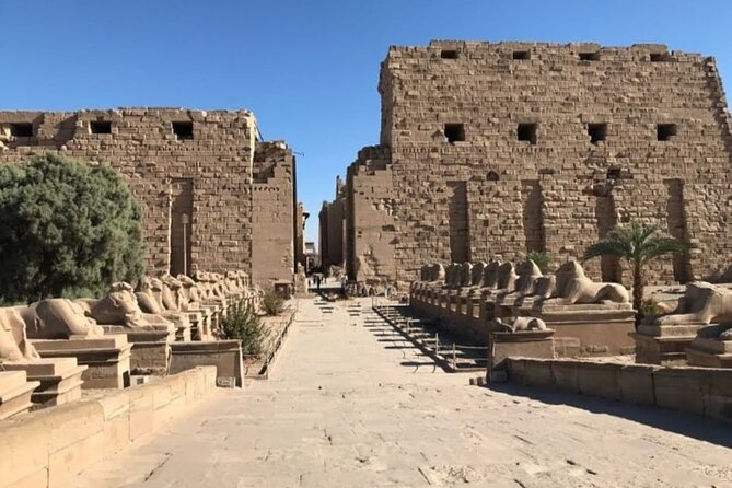 Luxor private excursion from Hurghada Makadi Bay Soma Bay Sahl Hasheesh Elgouna - The Colossi of Memnon in ten minutes