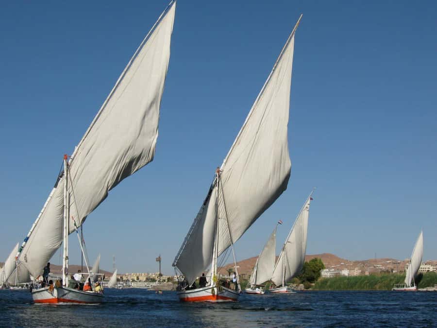 Luxor: Private Felucca Boat Trip with Hotel Pickup - Who should book this Luxor Nile trip
