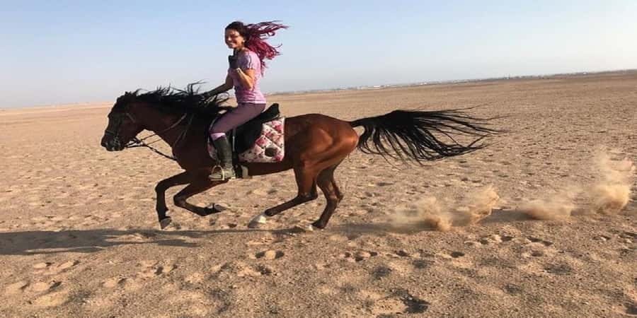 Luxor: Scenic Camel or Horse Ride - Should you book the Luxor camel or horse ride?