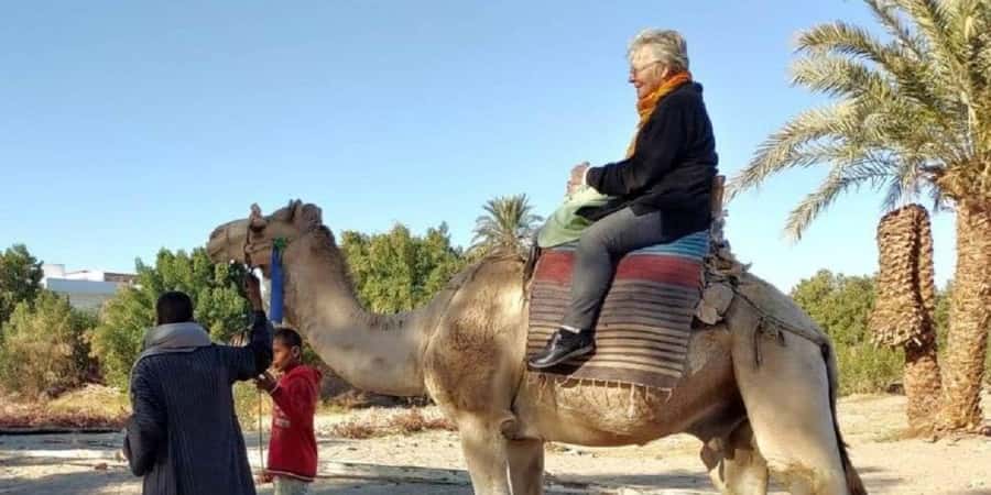 Luxor: Scenic Camel or Horse Ride - Choosing between a camel and a horse