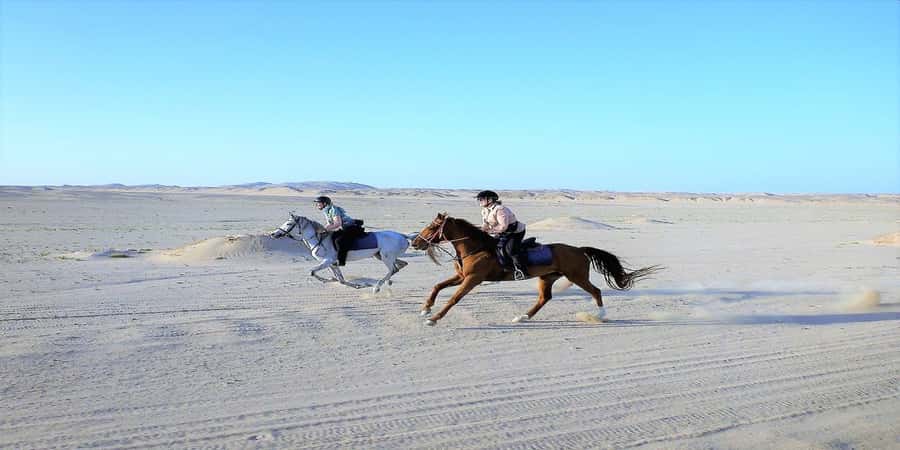 Luxor: Scenic Camel or Horse Ride - How the timing affects your day