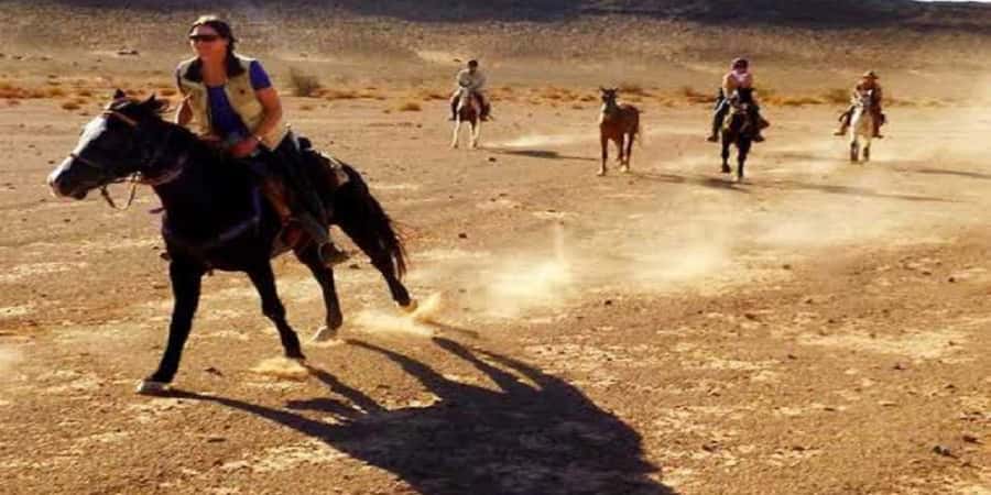Luxor: Scenic Camel or Horse Ride - The best and worst parts of the $15 price