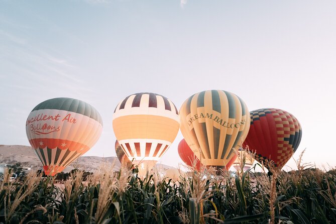 Luxury Balloon Ride in Luxor with Hotels Pickup - Sunrise timing and the second-wave problem