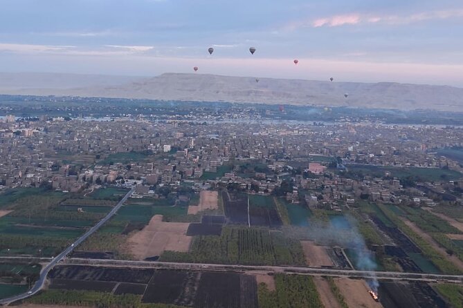 Luxury Sunrise Balloon Ride in Luxor with Hotel Pickup - At the launch field, expect a busy morning