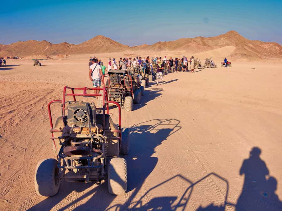 Makadi Bay: ATV, Sea View, Camel, Stargazing, Dinner & Show - Key points before you book