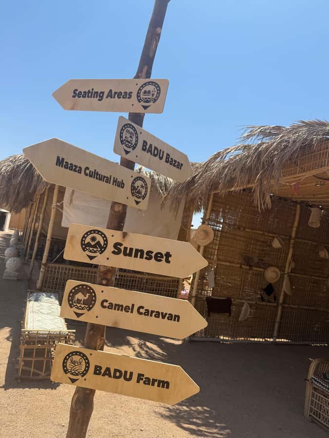 Makadi Bay: BADU Luxury Bedouin Dinner Experience & Stargaze - Practical advice for a comfortable evening