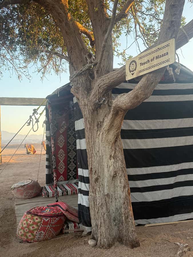 Makadi Bay: BADU Luxury Bedouin Dinner Experience & Stargaze - Tea, coffee, and a softer start