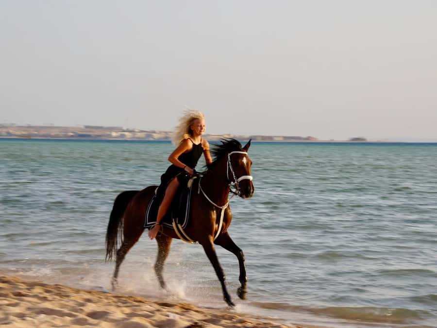 Makadi Bay: Horse Riding in Desert & Sea w Guide + Transfers - Key points at a glance
