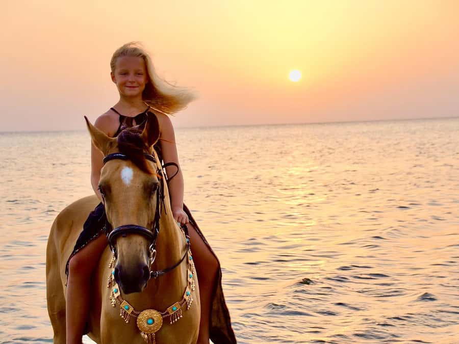 Makadi Bay: Horse Riding in Desert & Sea w Guide + Transfers - Riding Through Makadi Bay’s Desert