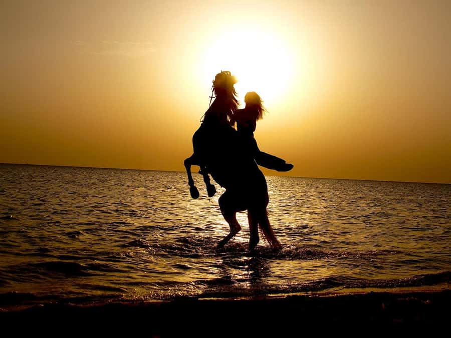 Makadi Bay: Horse Riding in Desert & Sea w Guide + Transfers - Following the Red Sea Shore