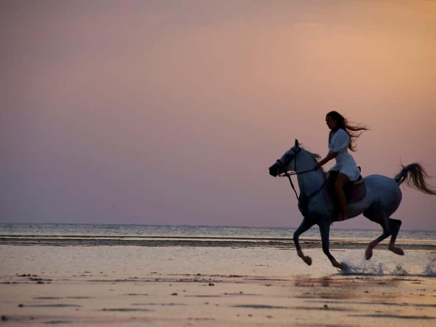 Makadi Bay: Horse Riding in Desert & Sea w Guide + Transfers - What to Wear and What to Ask