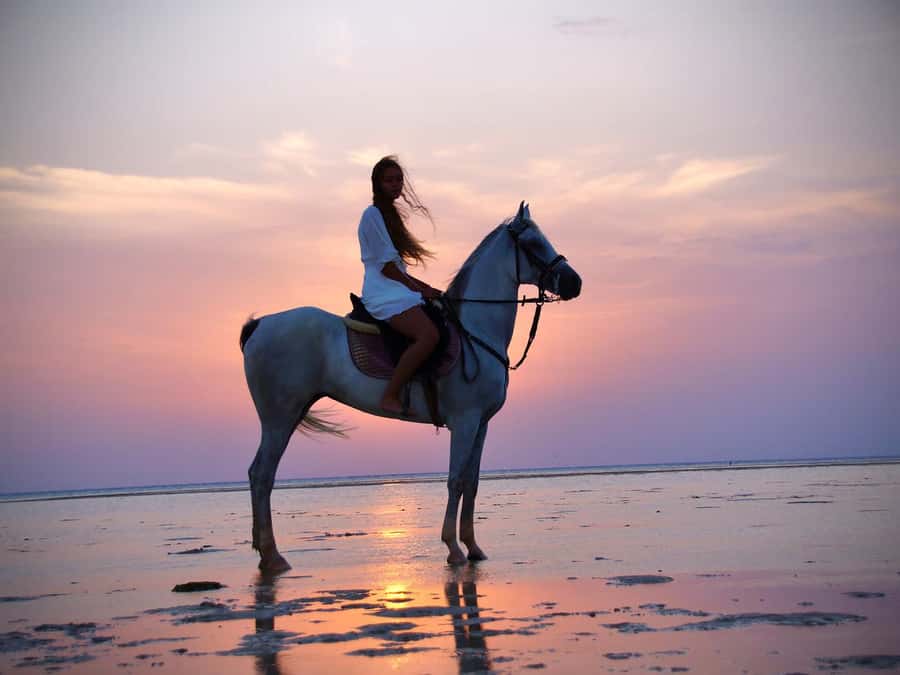 Makadi Bay: Horse Riding in Desert & Sea w Guide + Transfers - Who Will Enjoy This Ride Most?
