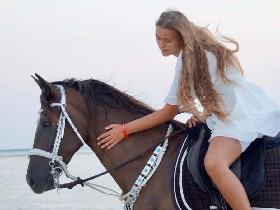 Makadi Bay: Horse Riding in Desert & Sea w Guide + Transfers - Should You Book Makadi Bay Horse Riding?