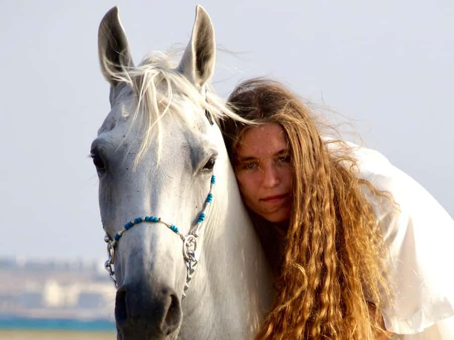 Makadi Bay: Horse Riding in Desert & Sea w Guide + Transfers - Meeting Your Horse Before the Ride