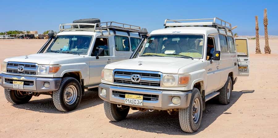 Makadi Bay: Mega Tour Jeep, ATV, Buggy, Camel, Dinner & Show - Dinner, free drinks, and the Sahara Park show