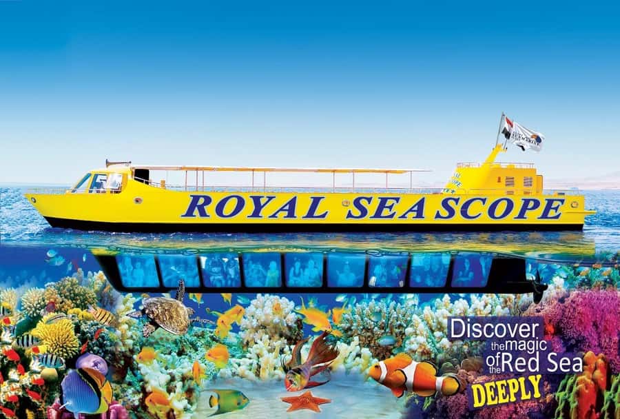Makadi Bay: Royal Seascope Submarine Cruise & Snorkel stop - Key points to know before booking