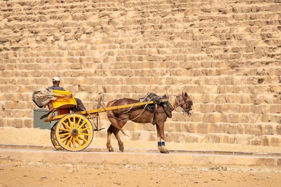 Marsa Alam: Ancient Cairo & Giza Pyramids Day Trip by Plane - Lunch and Cairo’s commercial stops