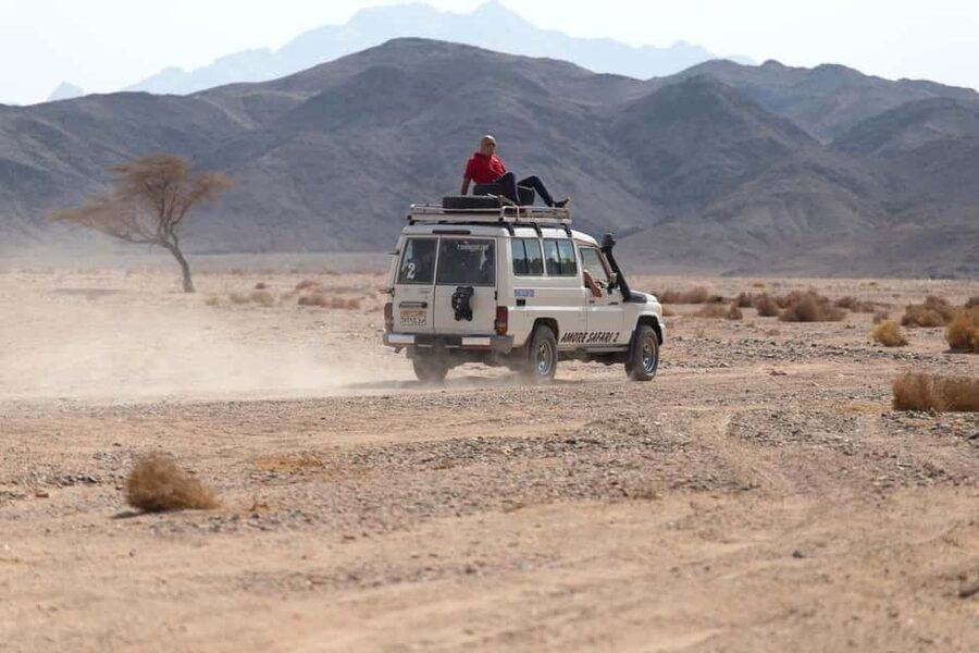 Marsa Alam Bedouin Nights: Jeep Safari, Dinner & Stargazing - Camel riding is brief but atmospheric